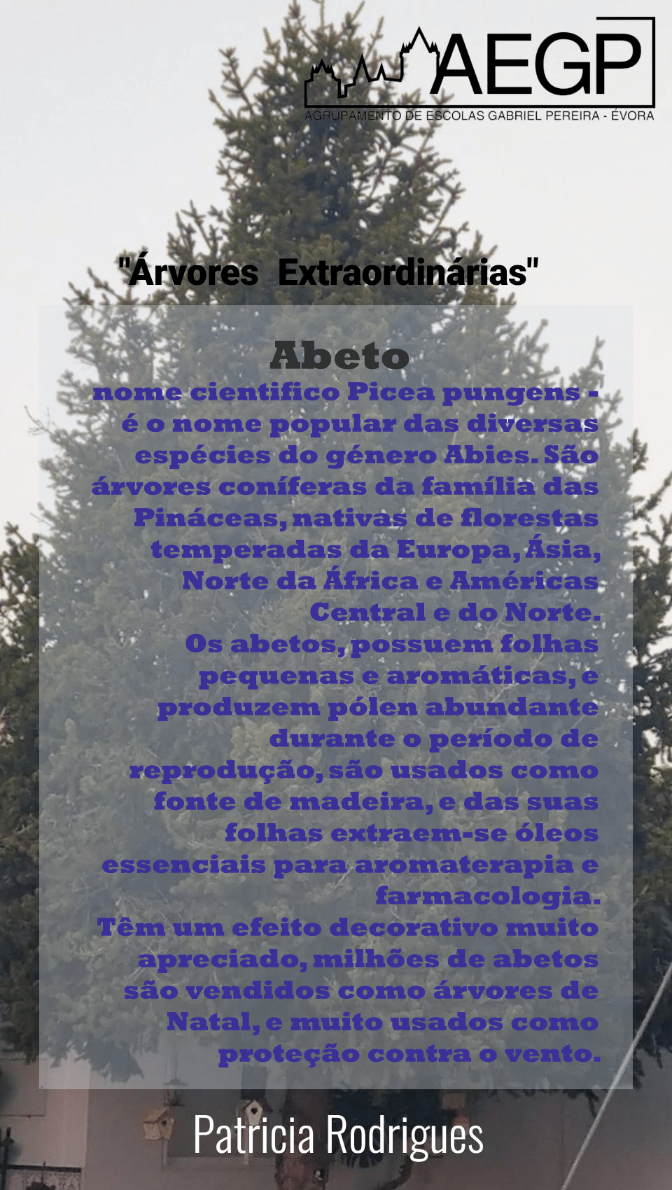 Patricia